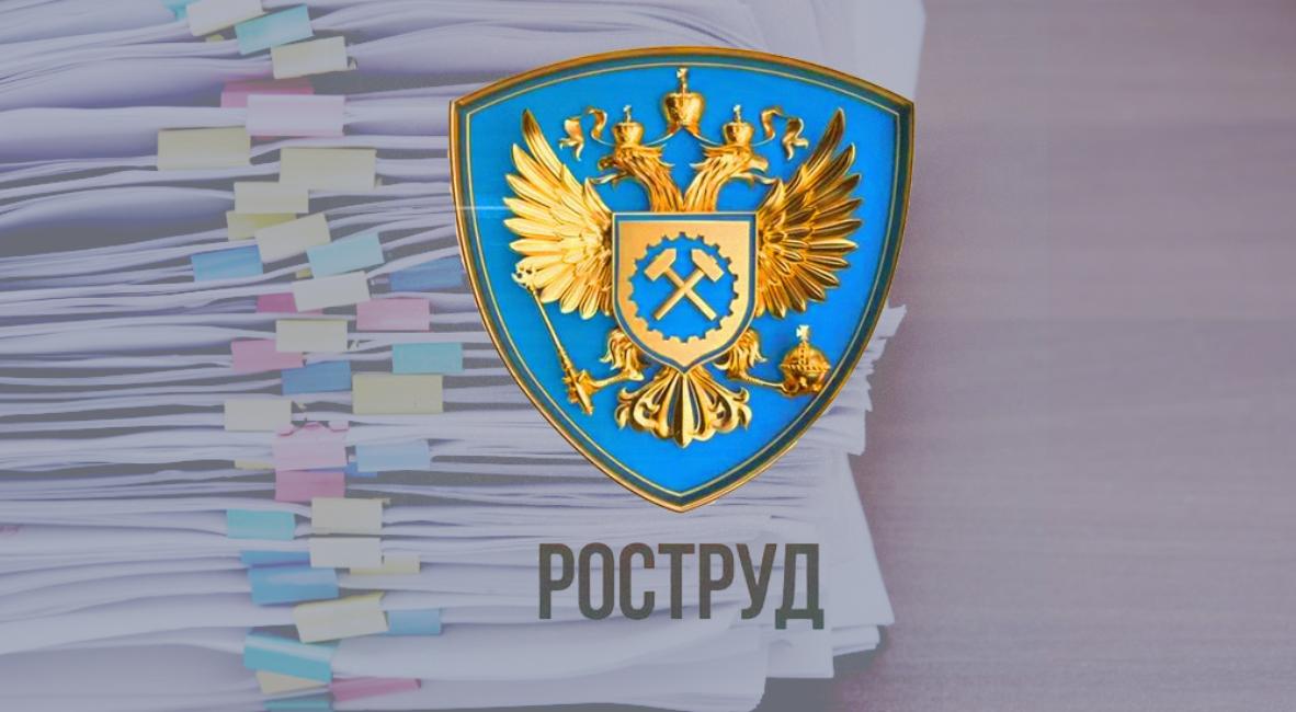 Роструд ввел новые формы документов для проведения профилактических визитов к работодателям Роструд ввел новые формы документов для проведения профилактических визитов к работодателям