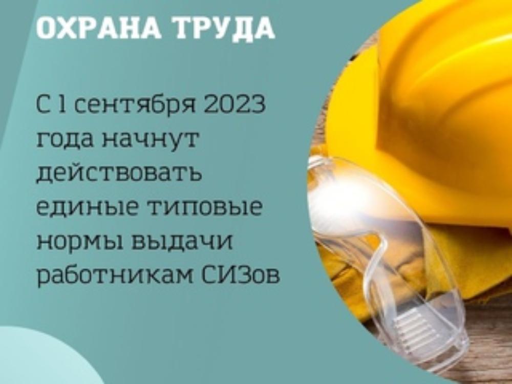 С 1 сентября 2023 года начнут действовать правила обеспечения работников средствами индивидуальной защиты (далее – СИЗ) и смывающими средствами.  