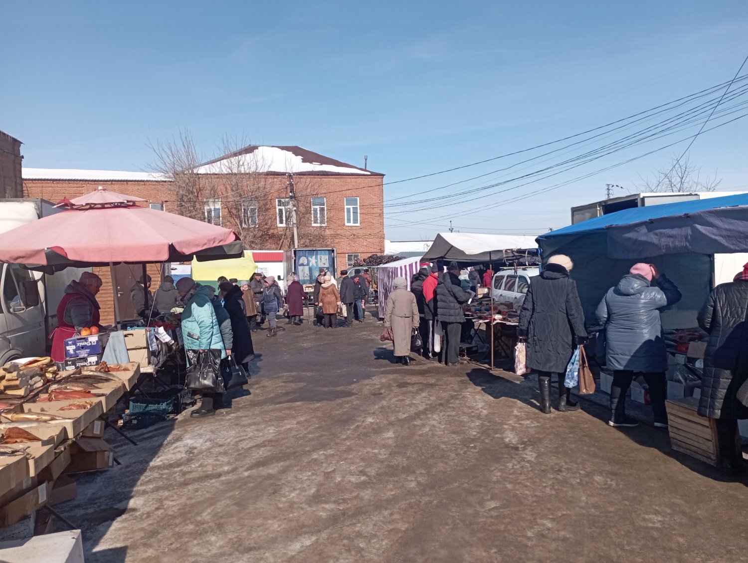 Проведен мониторинг цен на социально значимые продовольственные товары сезонной ярмарки Проведен мониторинг цен на социально значимые продовольственные товары сезонной ярмарки