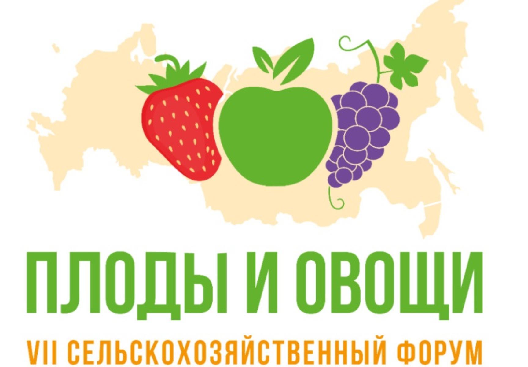 VII всероссийский сельскохозяйственный форум «Плоды и овощи России - 2025»
