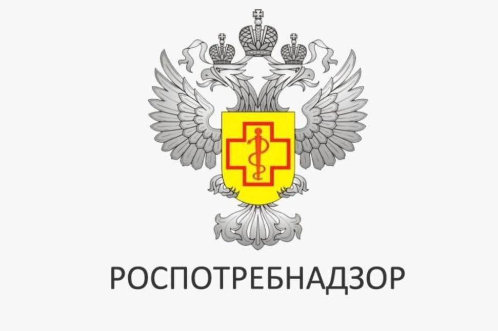 Утренние фильтры в детских учреждениях: почему важны и как организовать