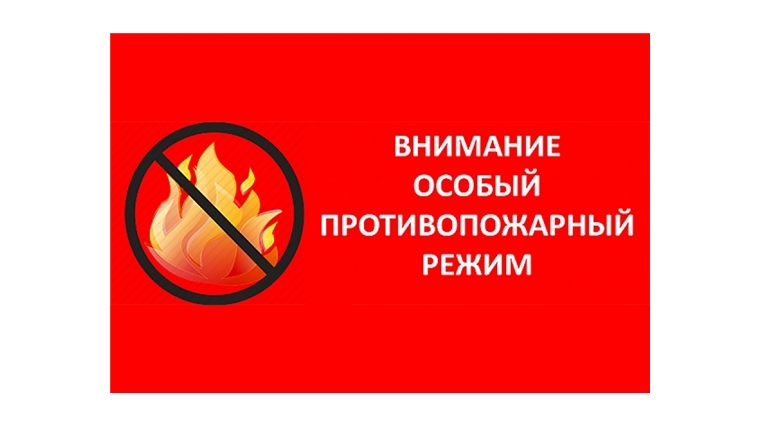 В Пензенской области введен особый противопожарный режим