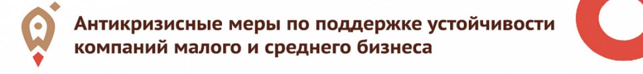 портал поддержки мсп портал поддержки мсп