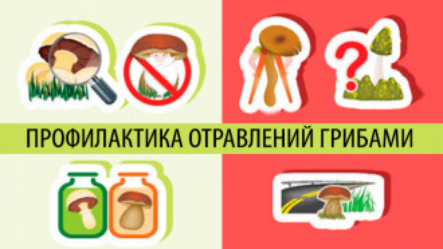 О мерах профилактики отравления грибами