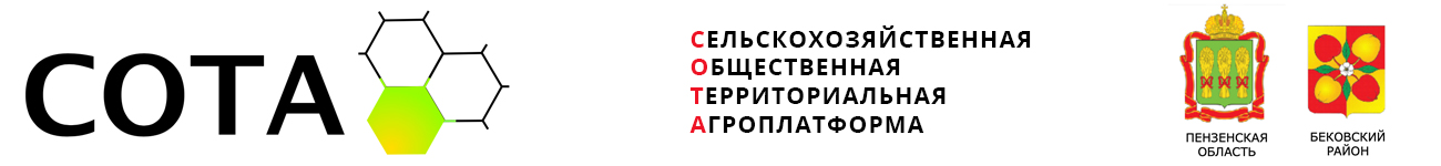 Сота Сота