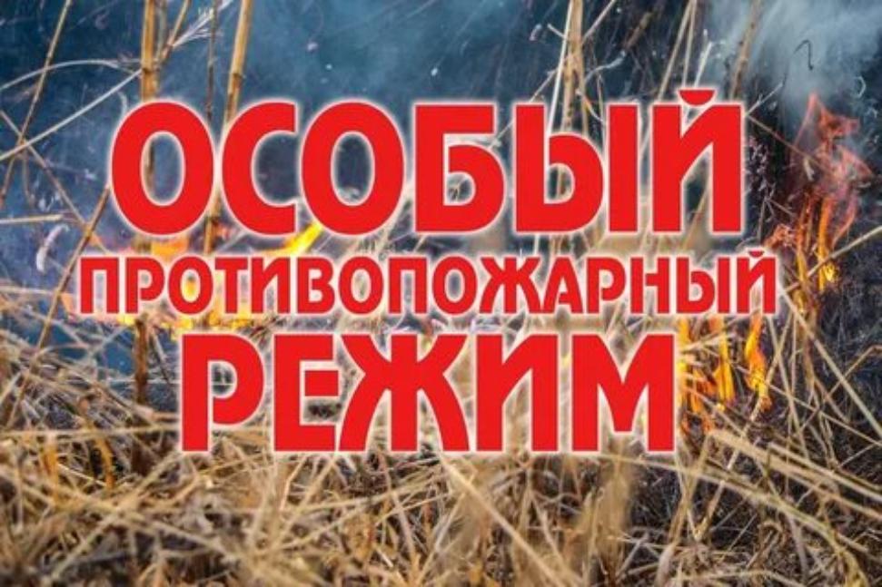 На территории Пензенской области с 10 июля 2025 года введен особый противопожарный режим На территории Пензенской области с 10 июля 2025 года введен особый противопожарный режим