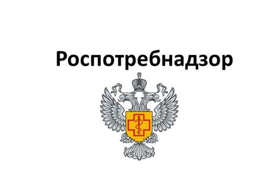 О выявлении в жилищах блох и постельных клопов, мерах борьбы с ними О выявлении в жилищах блох и постельных клопов, мерах борьбы с ними