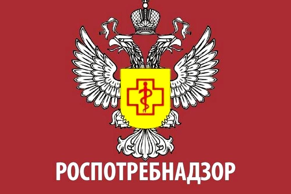 Менингококковая инфекция и ее профилактика. Менингококковая инфекция и ее профилактика.