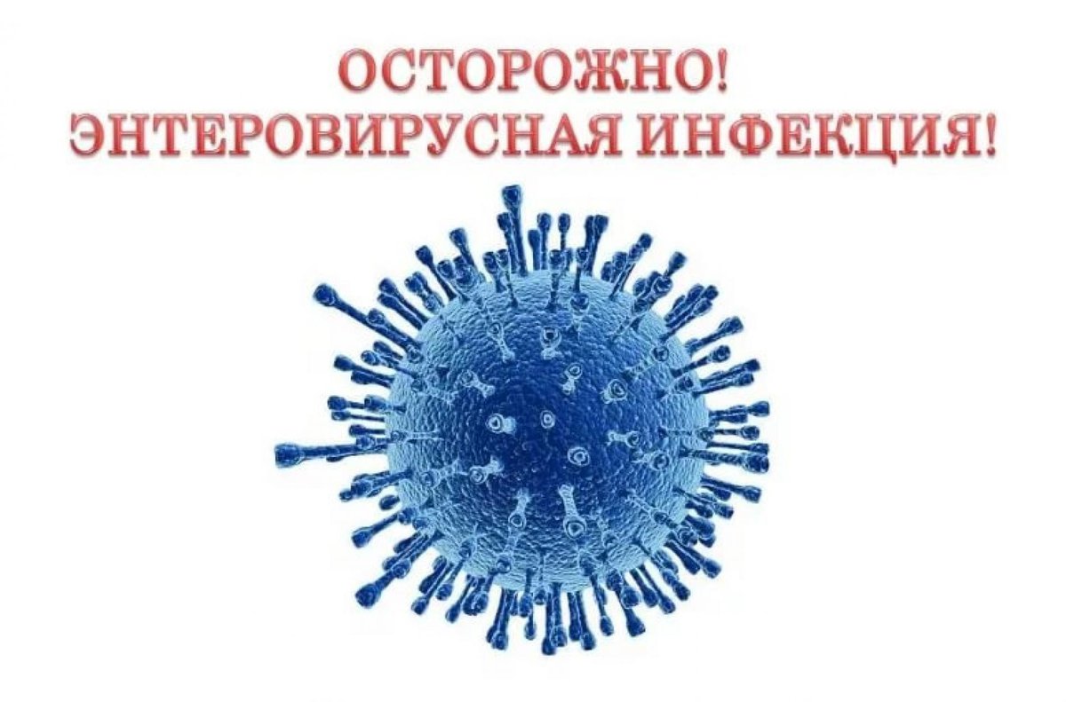 О мерах профилактики энтеровирусной инфекции.