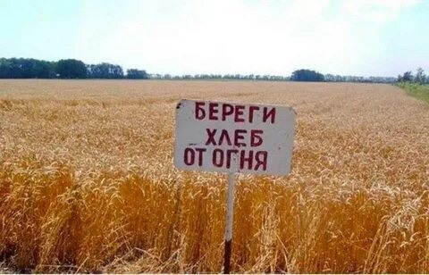 Пожарная безопасность при уборке зерновых Пожарная безопасность при уборке зерновых