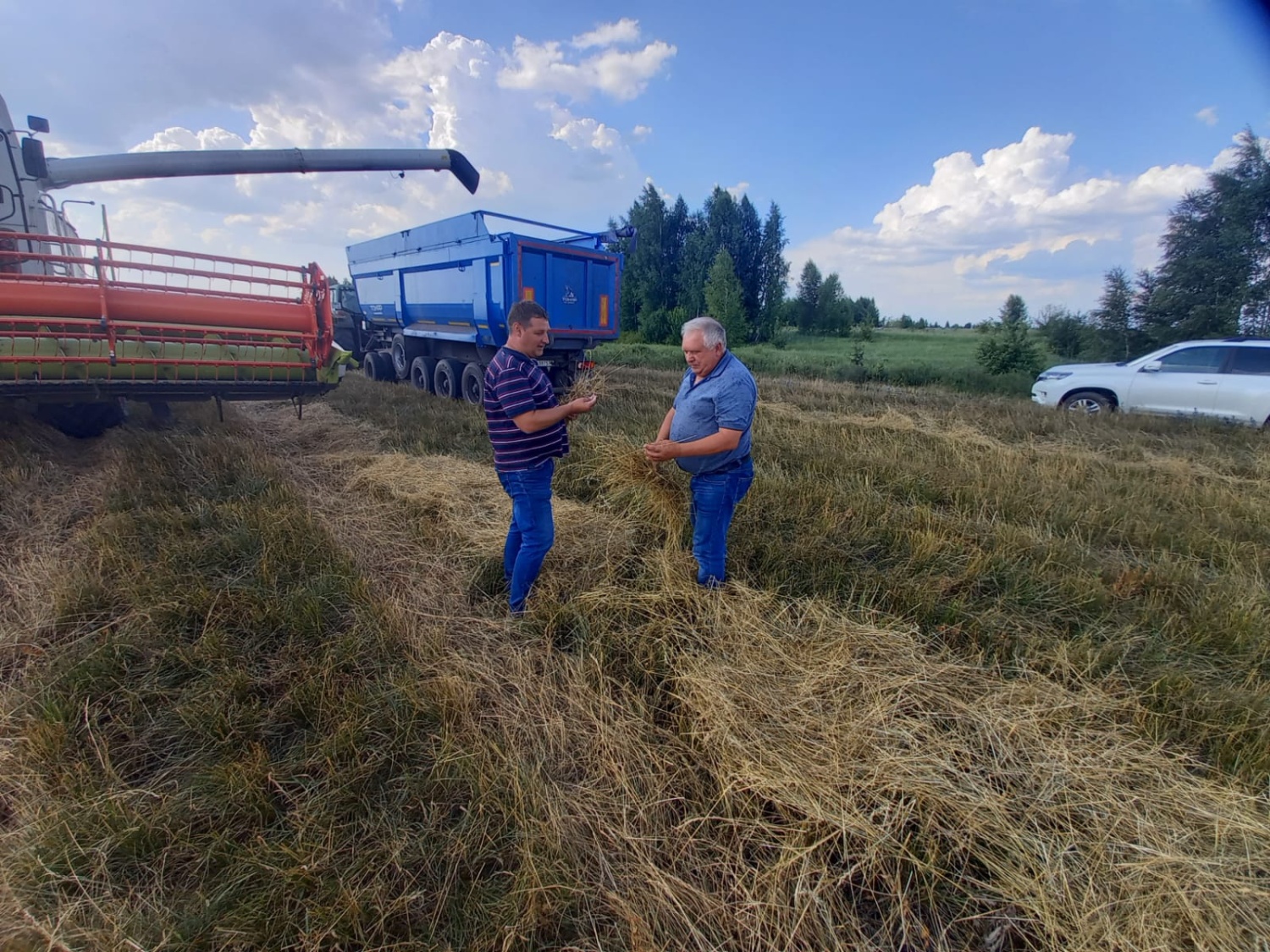 В Мокшанском районе приступили к уборке урожая