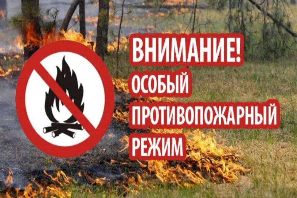 На территории Пензенской области с 28 мая 2025 года введен особый противопожарный режим На территории Пензенской области с 28 мая 2025 года введен особый противопожарный режим