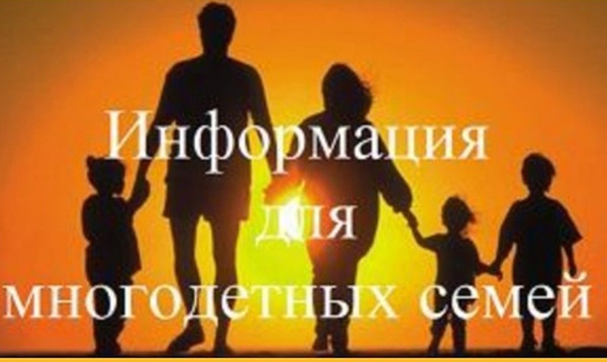 Удостоверение «Многодетная семья Пензенской области». Удостоверение «Многодетная семья Пензенской области».