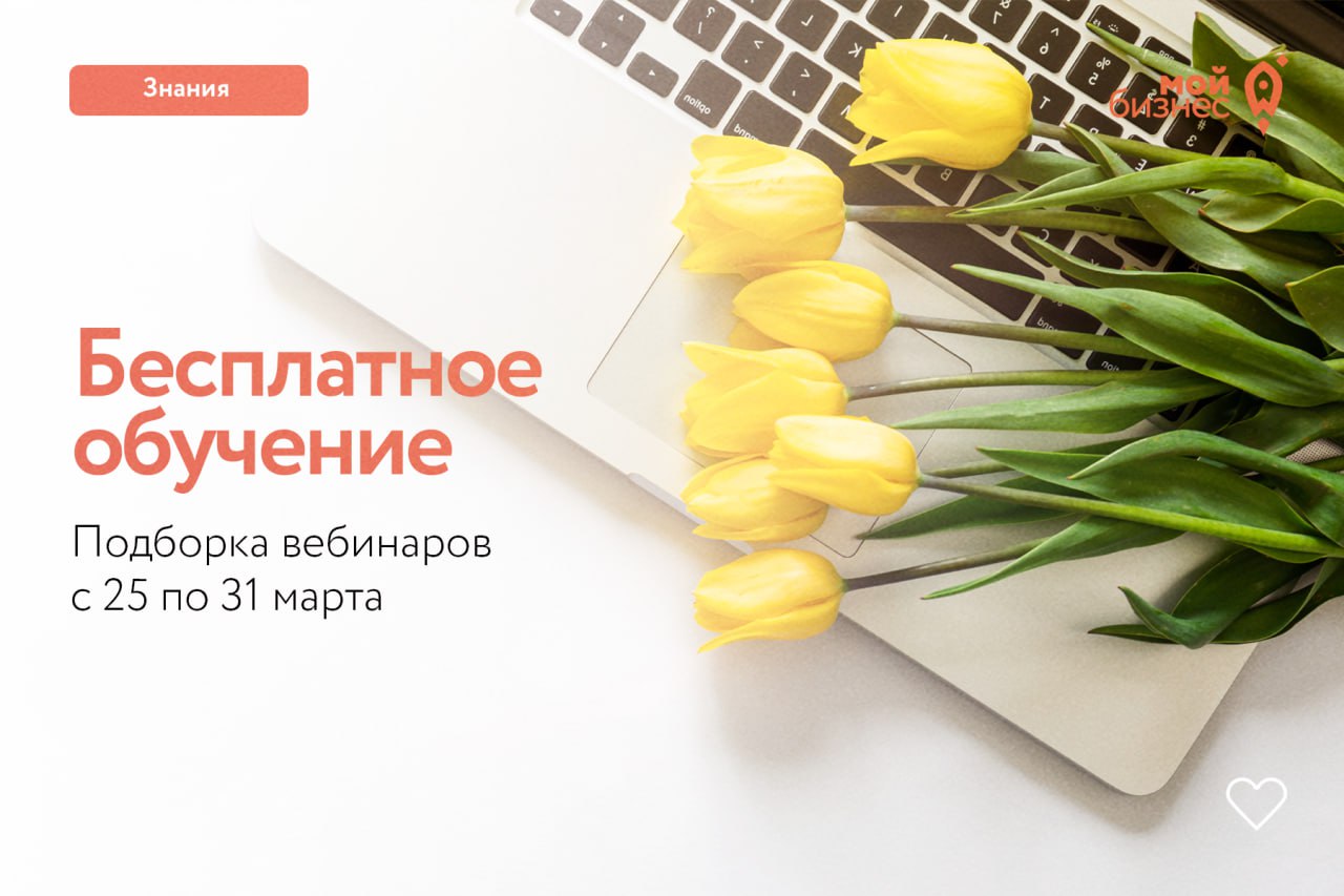 Деловая среда: техники и инструменты продаж — что работает в 2024 году