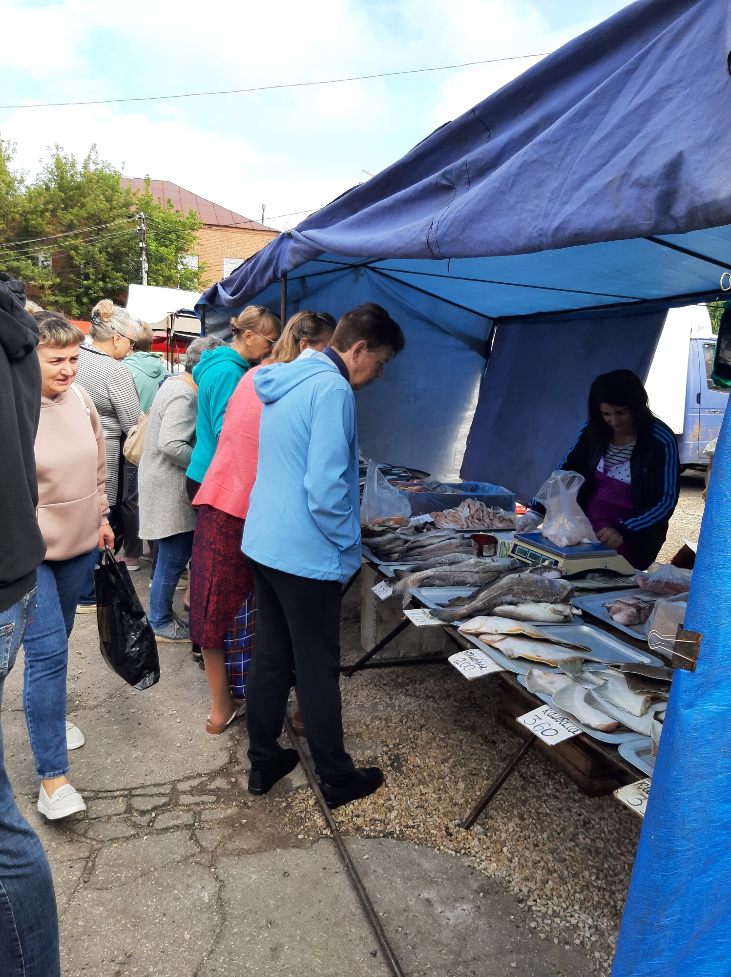 Проведен мониторинг цен на социально значимые продовольственные товары сезонной ярмарки Проведен мониторинг цен на социально значимые продовольственные товары сезонной ярмарки