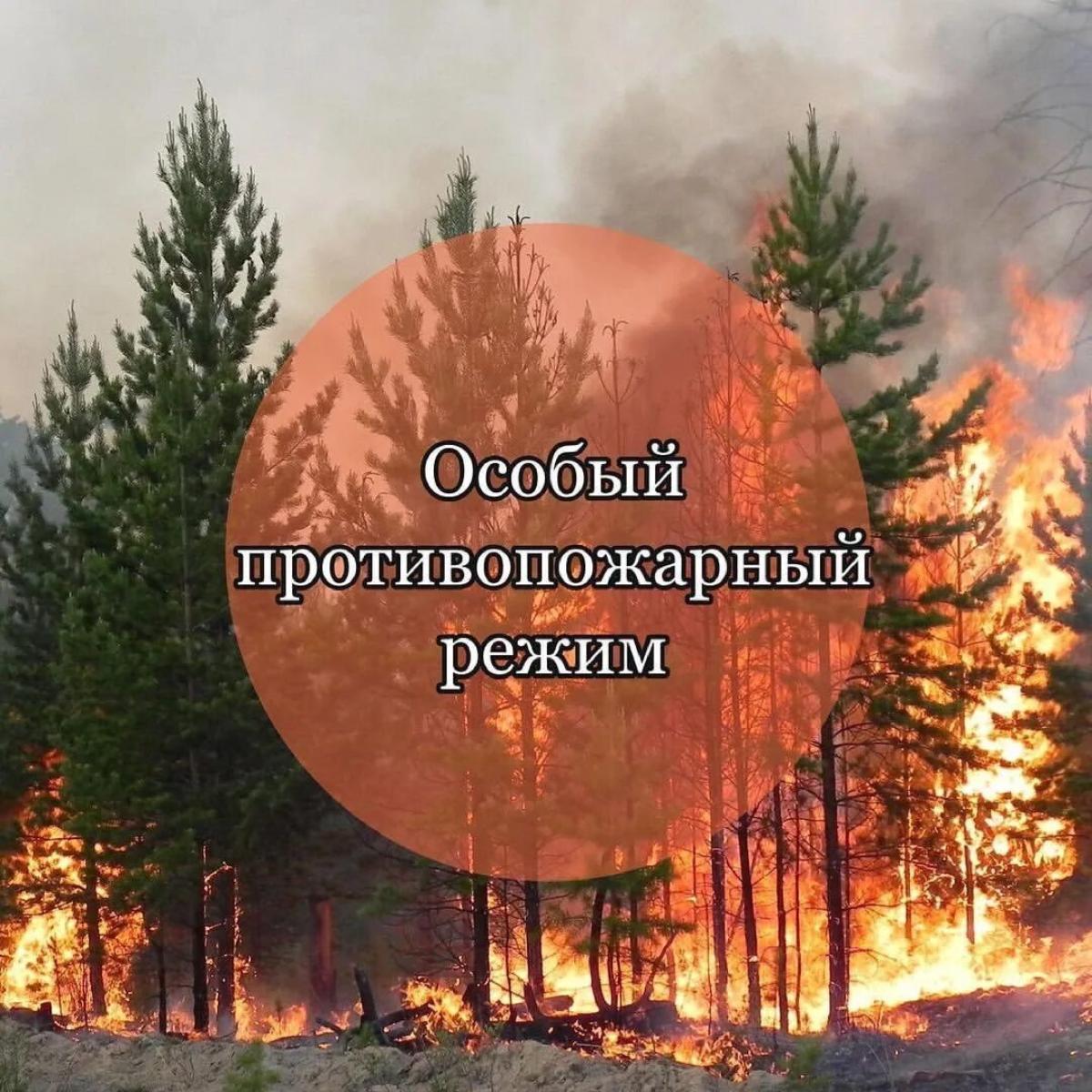 Действует особый противопожарный режим!
