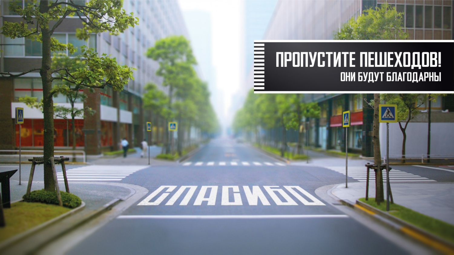 Безопасность пешеходов