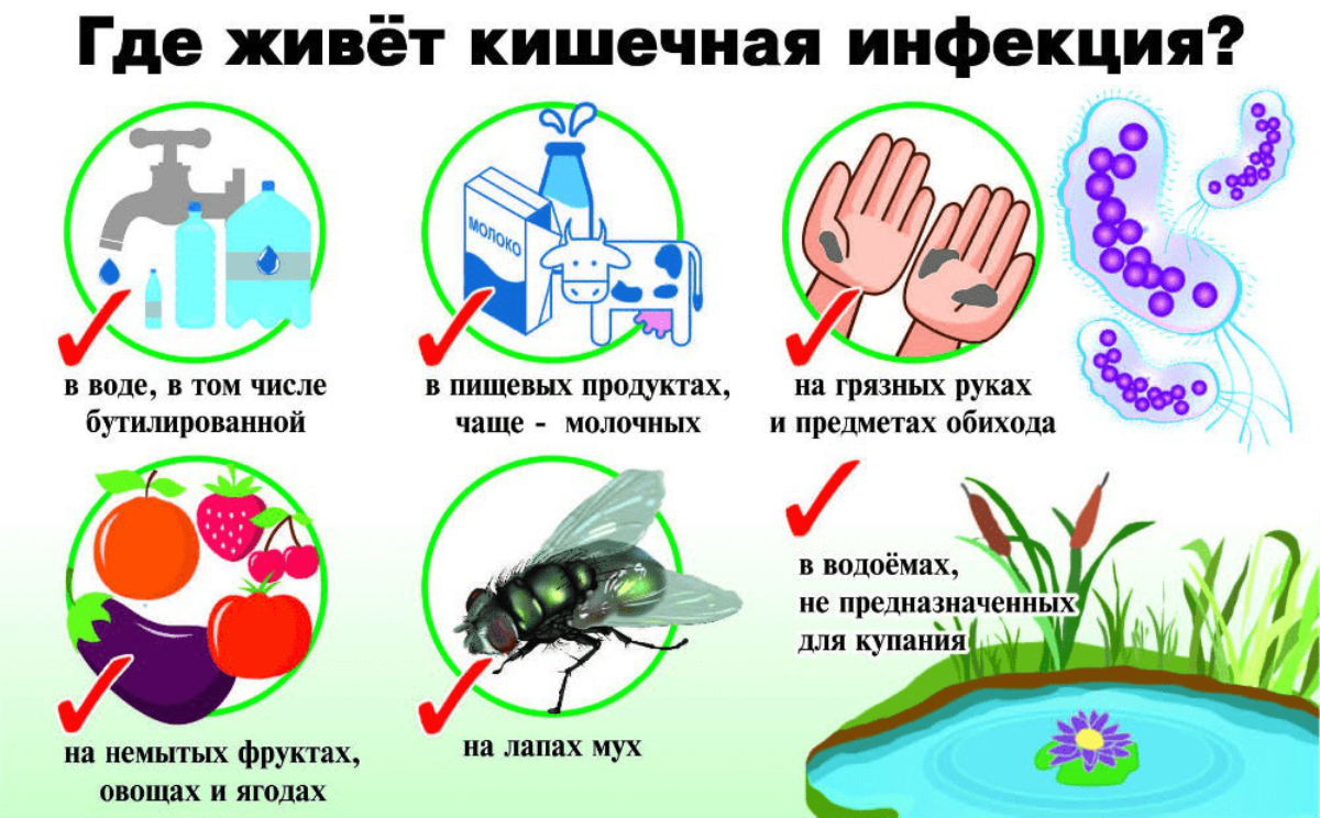 Как защитить себя и ребенка от кишечных инфекций?