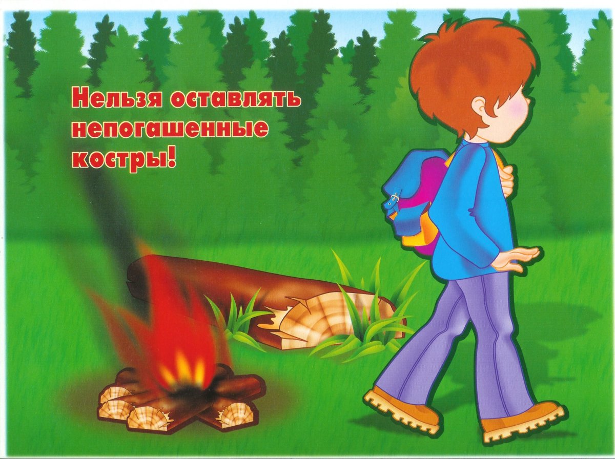 Правила безопасности на природе