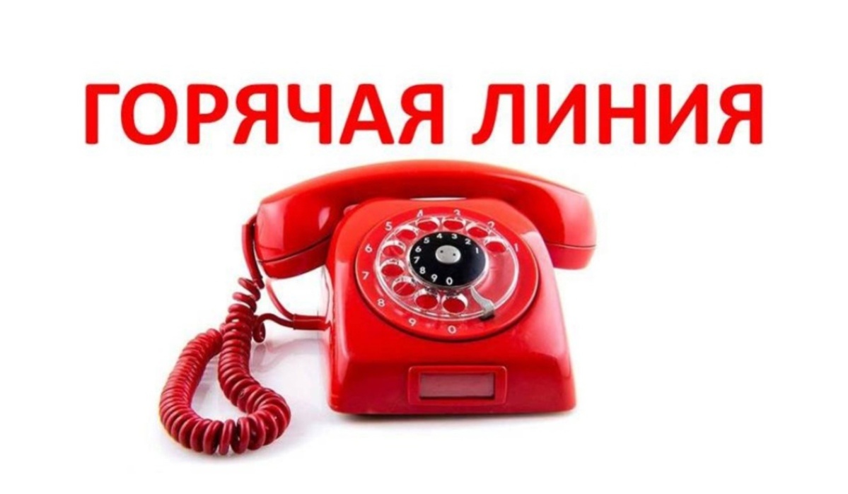 Работает «горячая линия» по вопросам нарушения трудового законодательства Работает «горячая линия» по вопросам нарушения трудового законодательства