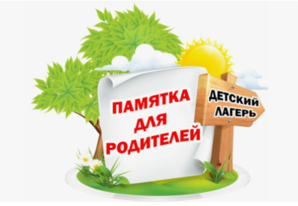 Какие продукты можно передать ребенку в летний лагерь Какие продукты можно передать ребенку в летний лагерь