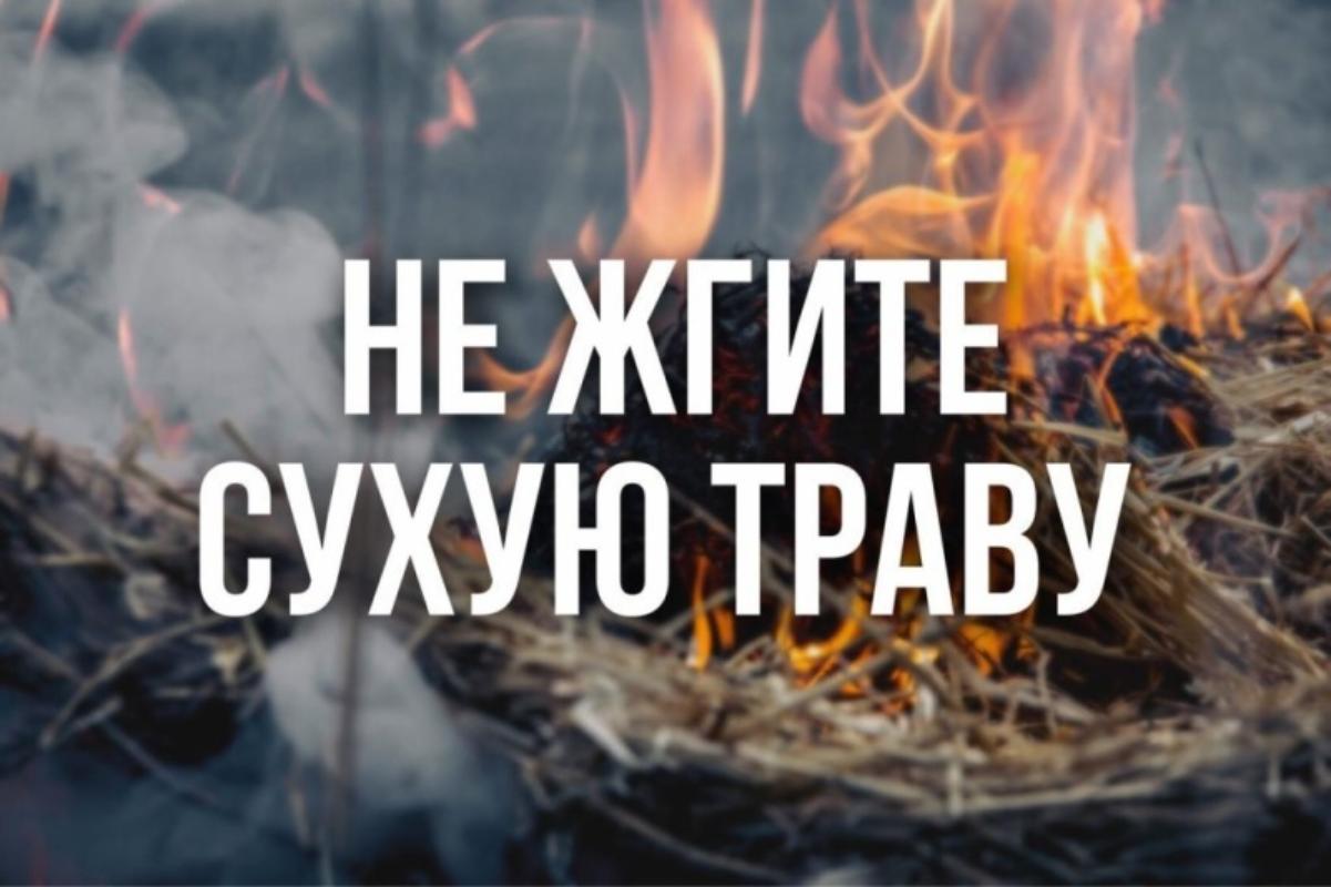 Не жгите сухую траву! Берегите жизнь, природу и имущество!!!