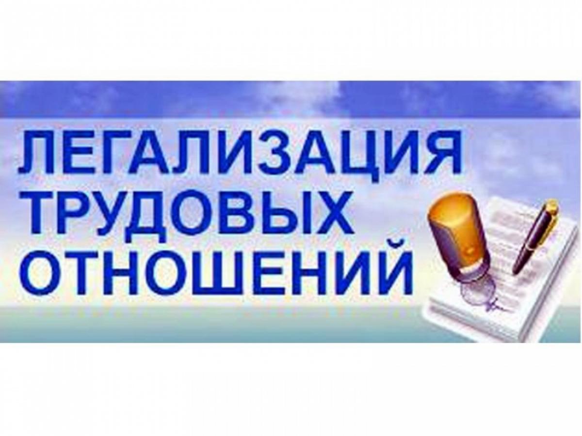 Легализация трудовых отношений! Легализация трудовых отношений!