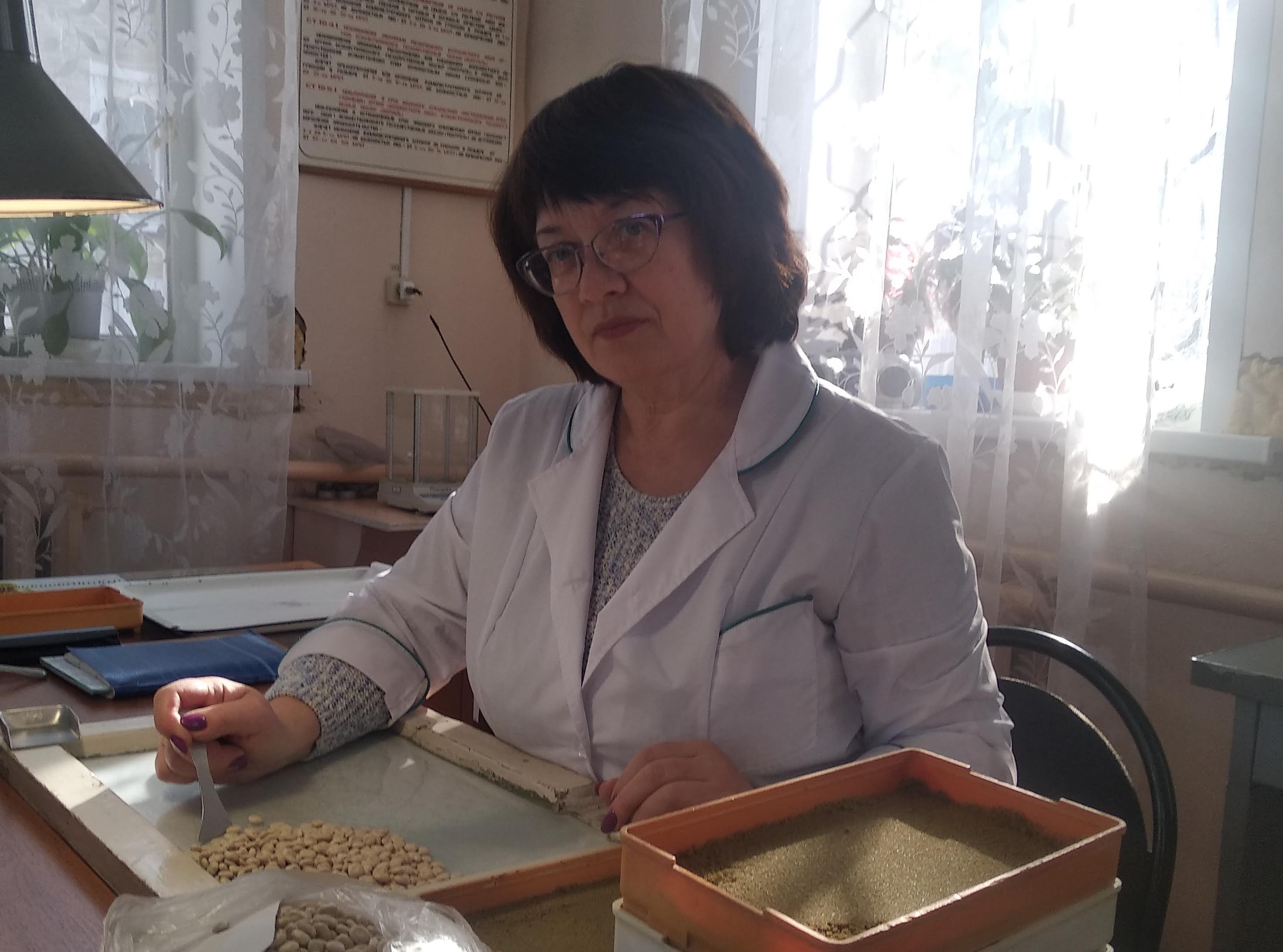 Пензенский Россельхозцентр подвел итоги работы в сфере семеноводства за 2025 год Пензенский Россельхозцентр подвел итоги работы в сфере семеноводства за 2025 год
