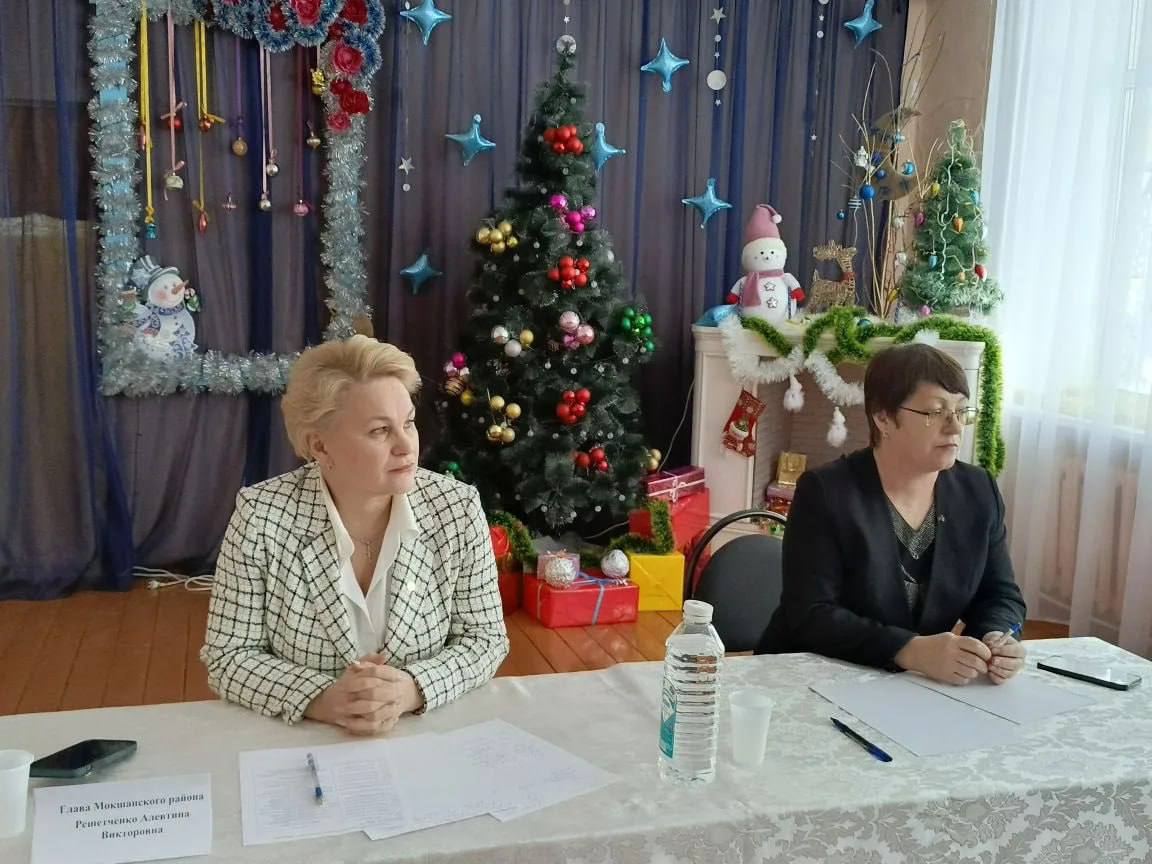 В селе Царевщино Мокшанского района прошел выездной «День главы»