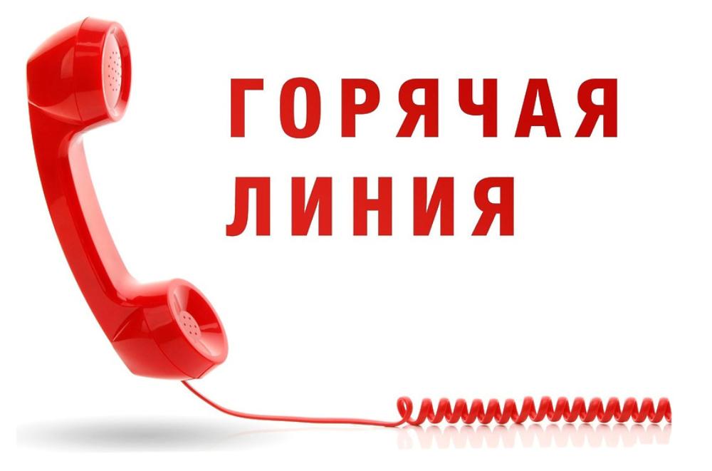 Работодатели могут получить консультации по соблюдению трудового законодательства