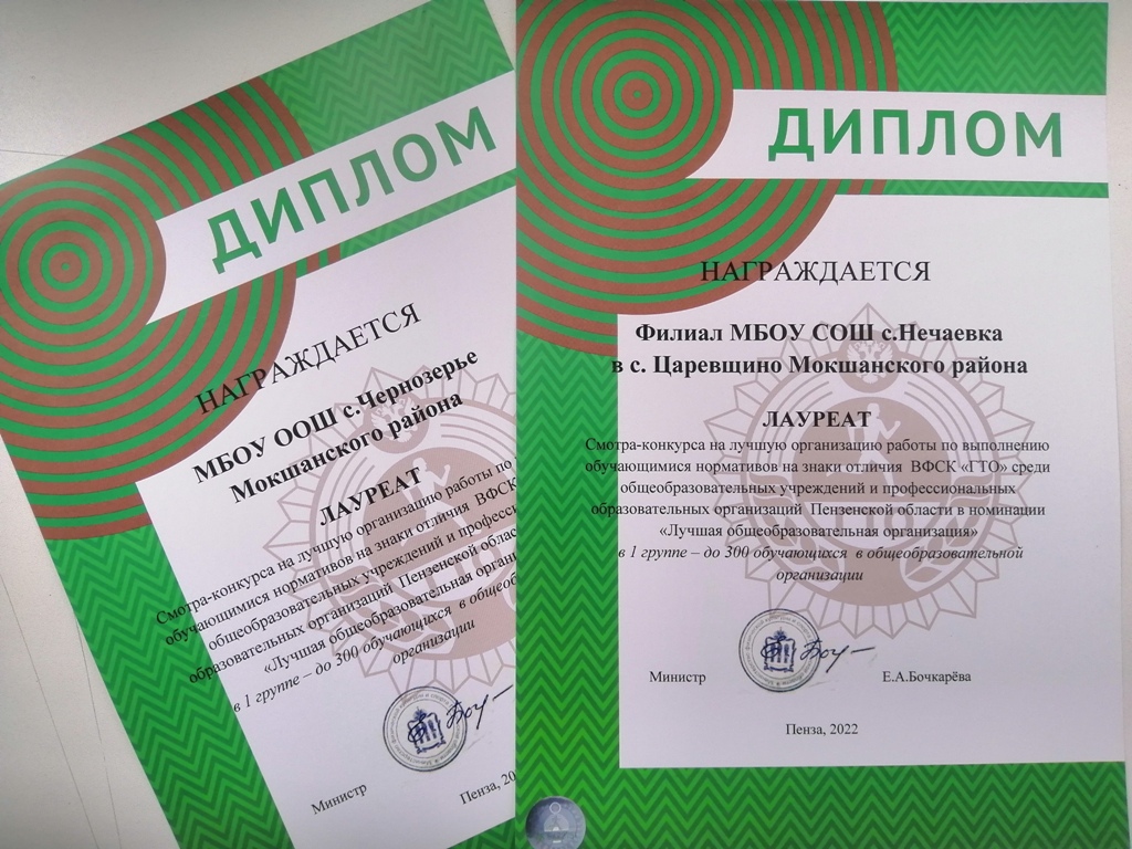 Подведены итоги областного смотра-конкурса на лучшую организацию работы по выполнению обучающимися нормативов на знаки отличия ВФСК ГТО. 
