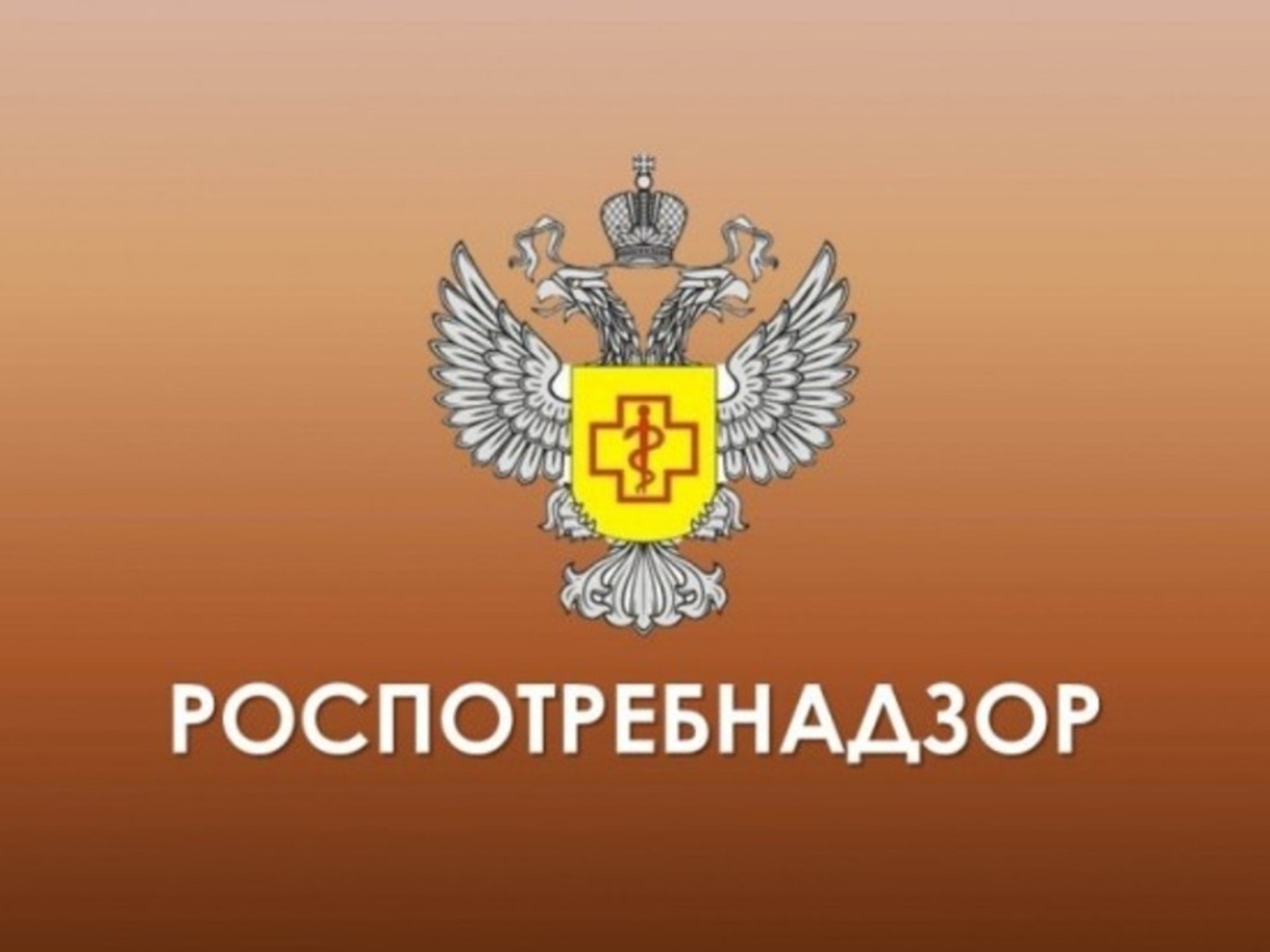 Роспотребнадзор напоминает о гигиене жилых помещений в сезон гриппа и ОРВИ Роспотребнадзор напоминает о гигиене жилых помещений в сезон гриппа и ОРВИ