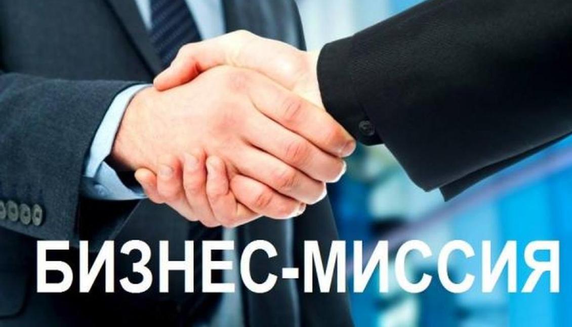 Бизнес-миссия (Киргизия)