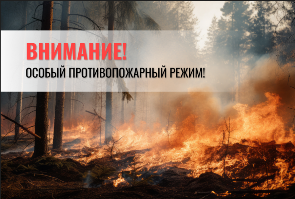Напоминаем, в Пензенской области с 1 июня 2024 года введен особый противопожарный режим