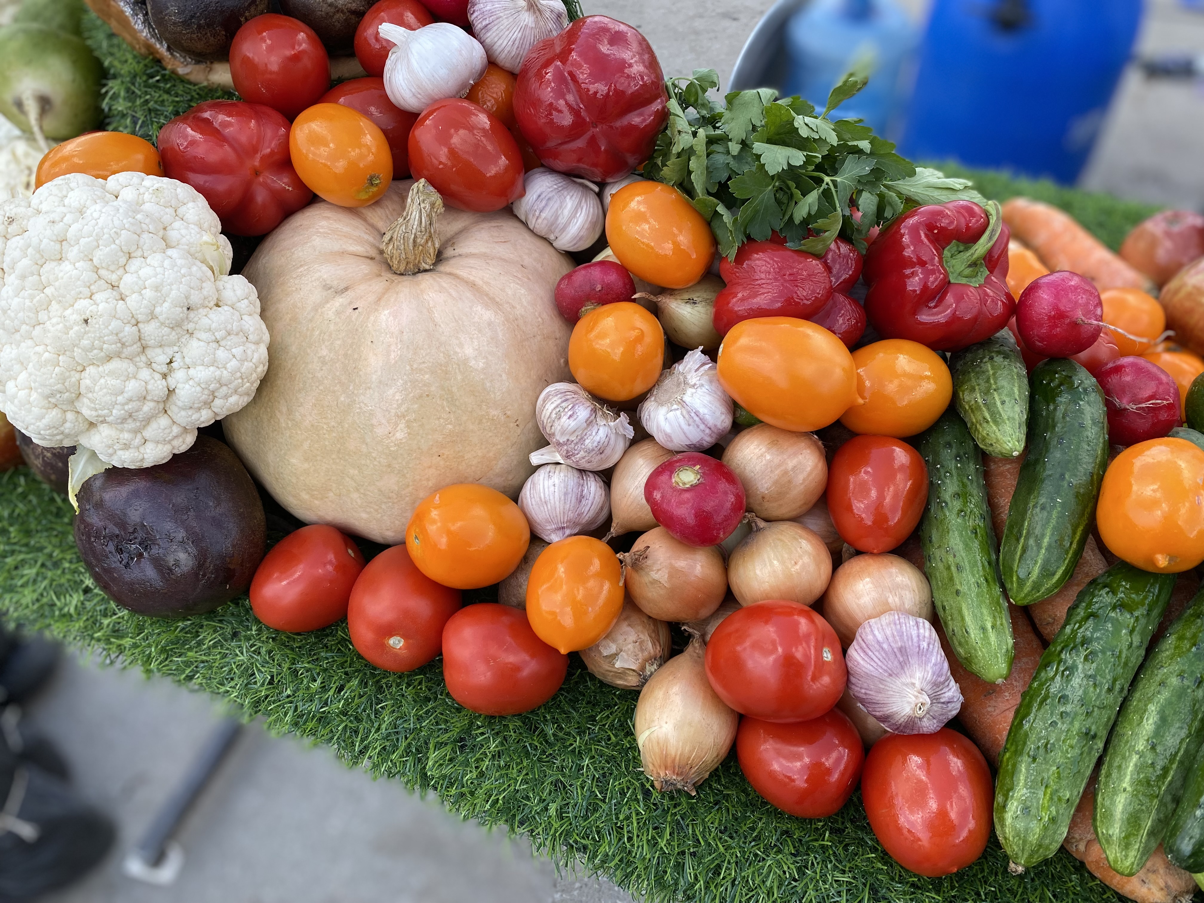 27 и 28 сентября в Пензе пройдет осенняя ярмарка продукции местных товаропроизводителей