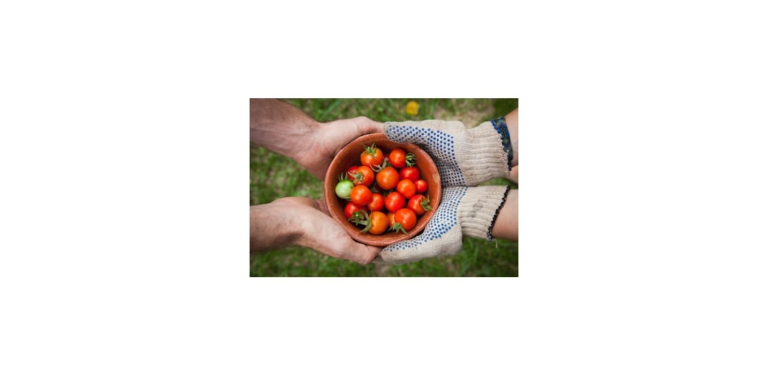 Предприниматели смогут продавать свежие продукты на Озон