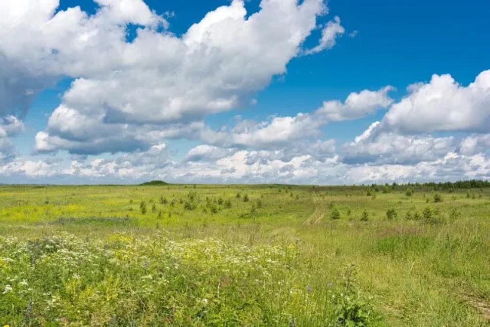Краеведческая среда