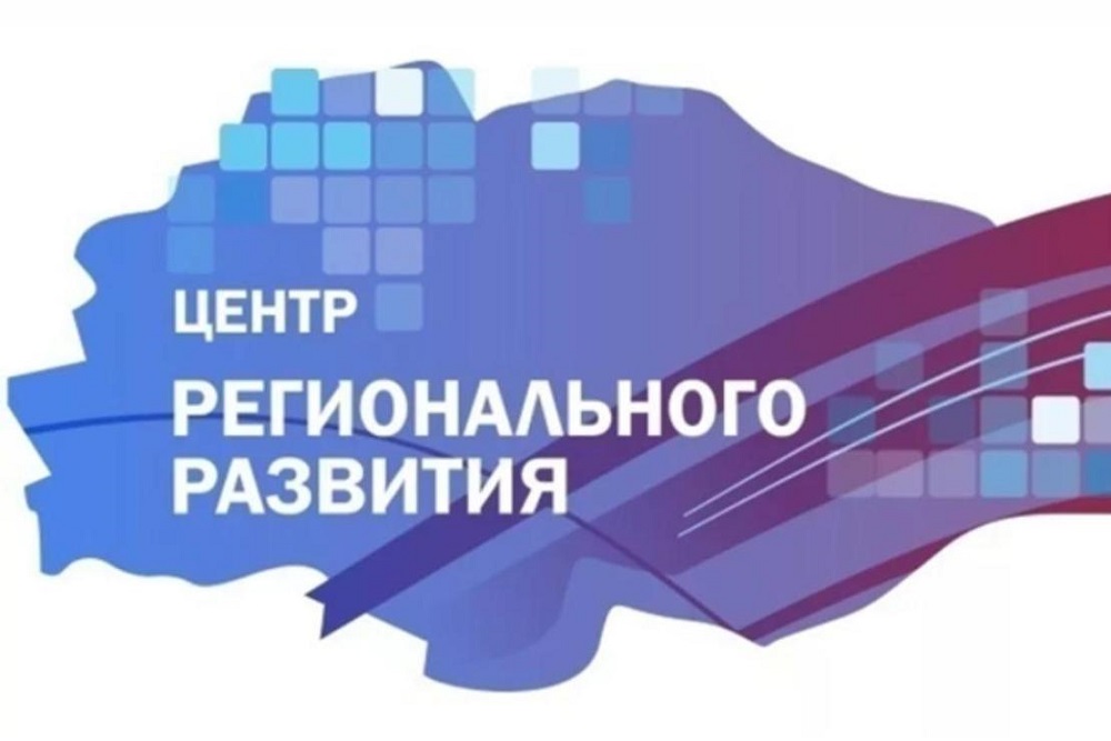 Пензенские предприниматели могут получить налоговые льготы