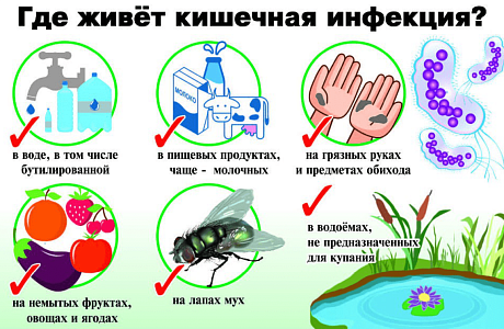 Как защитить себя и ребенка от кишечных инфекций?