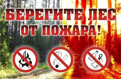 Правила пожарной безопасности при нахождении в лесных массивах Правила пожарной безопасности при нахождении в лесных массивах