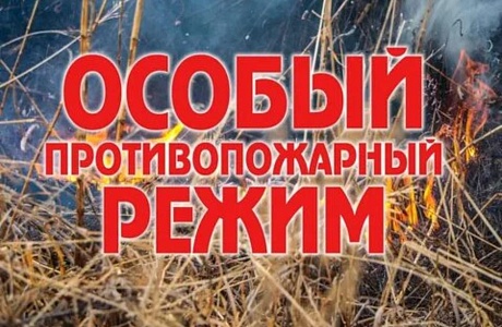 На территории Пензенской области с 10 июля 2025 года введен особый противопожарный режим На территории Пензенской области с 10 июля 2025 года введен особый противопожарный режим
