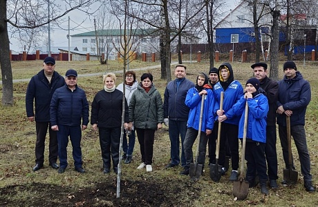  В четверг, 6 ноября 2025 года, в Центральном сквере р.п. Мокшан прошла масштабная акция по озеленению