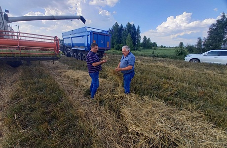 В Мокшанском районе приступили к уборке урожая