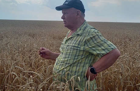 Начальник отдела по развитию сельского хозяйства администрации Мокшанского района Валерий Долженков выезжал на поля ТНВ «Пугачевское»