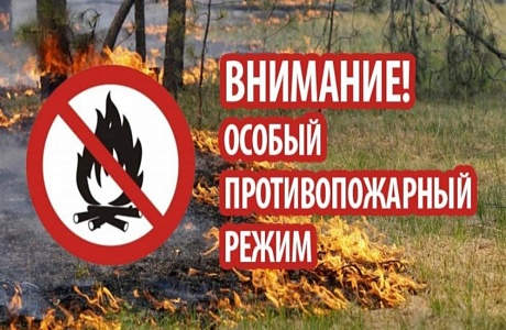 На территории Пензенской области с 28 мая 2025 года введен особый противопожарный режим На территории Пензенской области с 28 мая 2025 года введен особый противопожарный режим