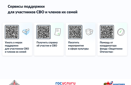 Сервисы поддержки для участников СВО и членов их семей