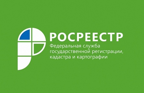 Садовый и огородный участок – в чем отличия?