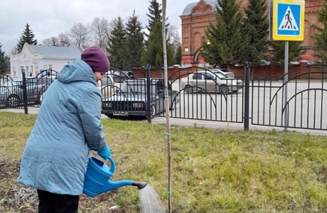 Сотрудники администрации Мокшанского района приняли участие в озеленении сквера по улице Поцелуева