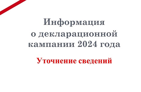 О декларационной кампании 2024 года. Уточнение сведений