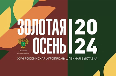 «Дамате» получила пять золотых медалей на выставке «Золотая осень-2024»
